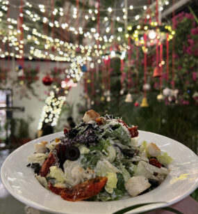 Caesar salad, Diggin, Chanakyapuri, Delhi